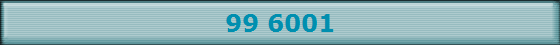 99 6001
